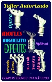 CATALIZADORES ENCAPSULADOS